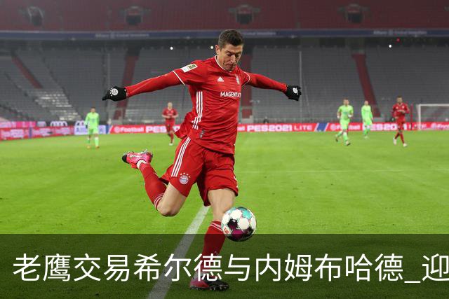 老鹰交易希尔德与内姆布哈德 迎来芬尼-史密斯